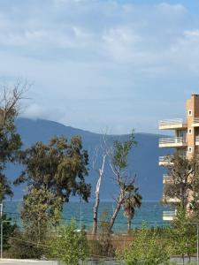 a view of the ocean and a building with trees at Aurea Rooms in Vlorë