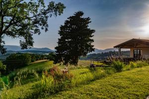a grassy field with a house and a tree at Il Moro in Tolentino