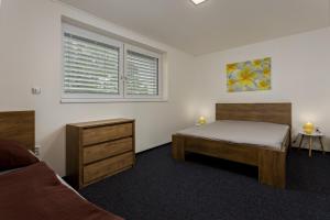 a bedroom with a bed and a window at Apartmány Miromar in Podivín