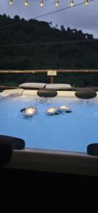 three birds in a pool of water with blue lights at Nena Maleni in Tovo San Giacomo