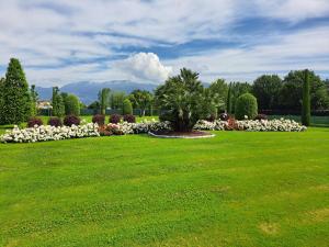 a park with a green lawn with a tree and flowers at Il Timo in Capannori