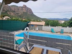 two polar bears sitting on the edge of a swimming pool at Ribella in Appietto