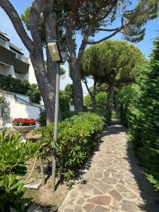 a street light next to a path with trees at Residence MARE App Alga 24 in Lido delle Nazioni +2 photos