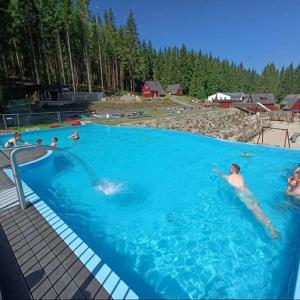 a group of people swimming in a swimming pool at Sauberghaus Wohnung 2 in Breitenbrunn +13 photos