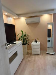 a living room with a white appliance and a mirror at Silver Night in Belgrade