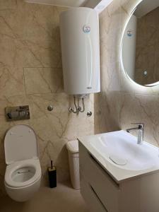 a bathroom with a toilet and a sink and a mirror at Silver Night in Belgrade