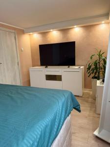 a bedroom with a flat screen tv and a bed at Silver Night in Belgrade +2 photos