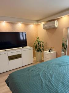 a bedroom with a bed and a flat screen tv at Silver Night in Belgrade