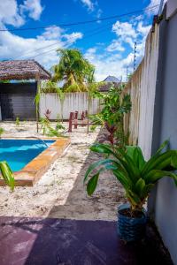 a plant in a pot next to a swimming pool at Marumbi Beach House in Marumbi