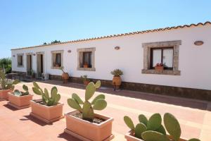 a patio with cacti and plants inront of a building at Cavagrande Guest House in Avola