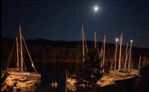 a group of boats docked in the water at night at Molat Bay View in Molat +17 photos
