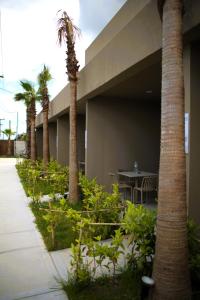 a courtyard with palm trees and a table in a building at MONO ALEX Afitos in Afitos
