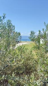 a view of the ocean from behind some trees at Casa De Sol by Horizon Homes in Ofrínion