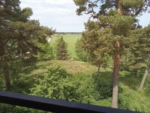 Naturlandskabet i nærheden af lejligheden