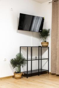 a flat screen tv on a wall with two plants at Apartmani Triluna in Drškovci
