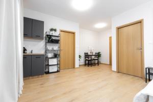 an apartment with a kitchen and a dining room at Apartmani Triluna in Drškovci