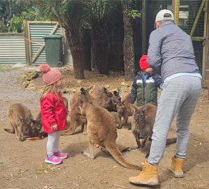 a man and two children looking at a group of deer at Fauna Australia Wildlife Experience in Lavers Hill