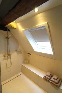 a bathroom with a shower and a skylight at Stay at Gouwzee in Monnickendam +40 photos