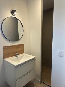 a bathroom with a sink and a mirror on the wall at Résidence le 1564 Bleu in Roussillon en Isere