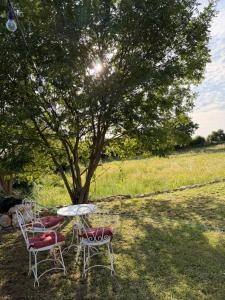 a table and chairs under a tree in a field at Lisinj Sky Glamping in Bar