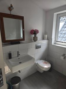 a bathroom with a sink and a toilet and a mirror at Der Stader Fernblick in Stade