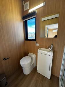 a bathroom with a toilet and a sink and a mirror at The Dairy and Pines Tiny house by Tiny Away in Shadforth