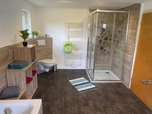 a bathroom with a shower and a toilet and a sink at NEU! Ferienwohnung Bruno in Gersfeld +19 photos