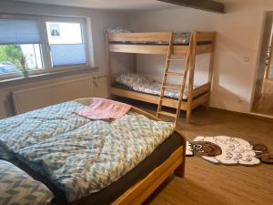 a bedroom with two bunk beds and a ladder at NEU! Ferienwohnung Bruno in Gersfeld
