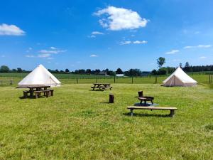 a group of picnic tables and tents in a field at Le Nid des Prairies in La Chapelle-Engerbold