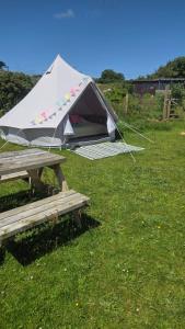 a tent sitting on top of a picnic table at Emilies Bell Tent in St Ives