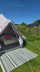 a tent on the grass in a field at Emilies Bell Tent in St Ives