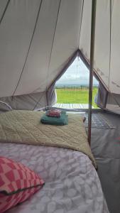 a bed in a tent with a view of a field at Emilies Bell Tent in St Ives