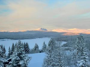 a view of a snowy landscape with a lake and mountains at Toppastranda 20 in Sør-Fron