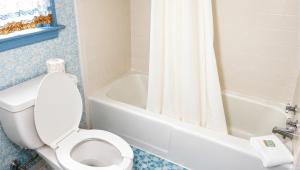a bathroom with a toilet and a shower curtain at Captain John Smith Inn Williamsburg in Williamsburg +11 photos