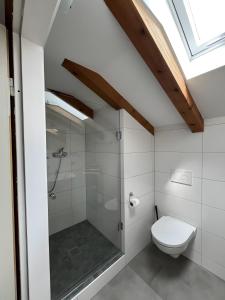 a bathroom with a shower and a toilet at Ferienwohnung 2 Am Krepbach in Grainau +11 photos