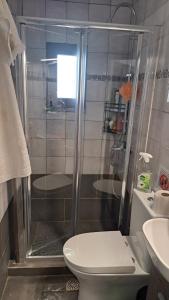 a bathroom with a shower with a toilet and a sink at Elgina Apartments2 MANI in Mína +75 photos