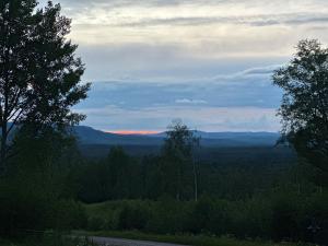 Blick auf den Sonnenuntergang von einem Hügel mit Bäumen in der Unterkunft Stuga Millby in Orsa