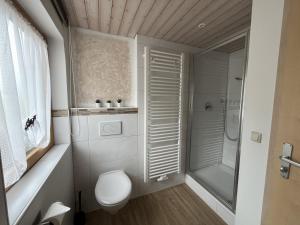 a bathroom with a toilet and a shower at Ferienwohnung 1 Am Krepbach in Grainau +12 photos