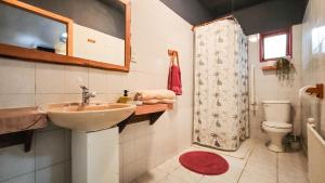 ein Badezimmer mit Waschbecken, Toilette und Dusche in der Unterkunft Espacio Ecole in Pucón