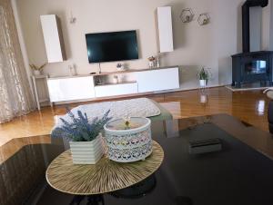 a living room with a tv and a table with flowers at Apartman Vila Vita in Čapljina