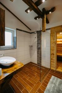 a bathroom with a sink and a glass shower at Ferienhaus Weiss in Oberschützen +95 photos
