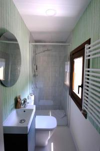 a bathroom with a sink and a toilet and a shower at Casa Santiago in Panticosa +11 photos