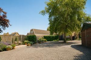 a driveway with a tree and a house at De Zilte Melis Boutique Rooms in Meliskerke
