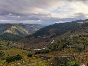 a winding road through a vineyard on a mountain at Refúgio no Douro in Nogueira