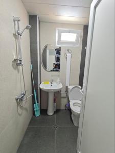 a bathroom with a sink and a toilet and a mirror at Luka & Eka in Kobuleti +57 photos
