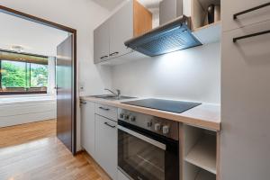a kitchen with a stove and a sink and a window at Riverview Apartment - Bad Aussee in Bad Aussee