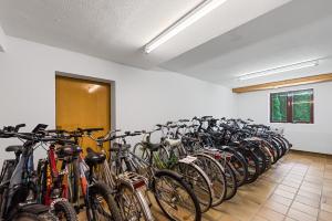 a large group of bikes parked in a room at Riverview Apartment - Bad Aussee in Bad Aussee