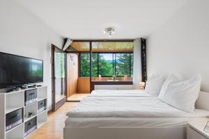 a bedroom with a large bed and a television at Riverview Apartment - Bad Aussee in Bad Aussee