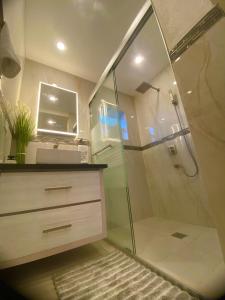 a bathroom with a shower with a sink and a mirror at Jaden's Guest House in Saint Michael +10 photos