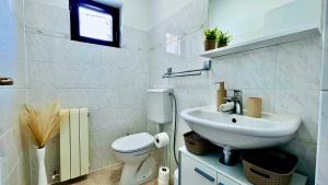 a white bathroom with a toilet and a sink at Apartment Bellaria in Jadranovo +11 photos
